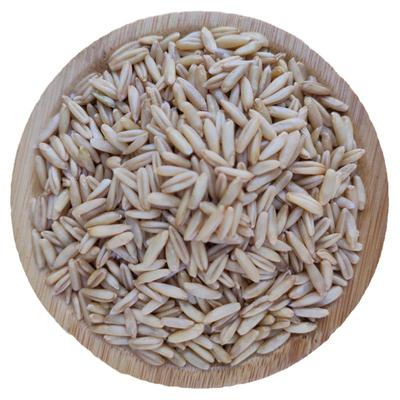 会宁粗粮莜麦甜醅原料旱地种植