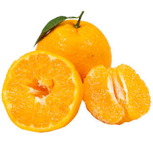 四川春见耙耙柑正宗新鲜水果当季丑粑粑八怪桔不橘子知火整箱包邮