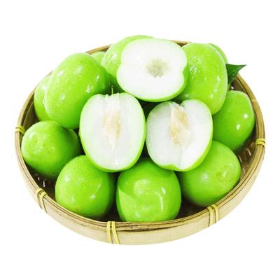 牛奶大青枣云南当季新鲜现摘水果脆甜多汁牛奶枣子整箱大枣孕妇