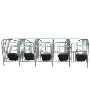 母猪定位栏 国标2.5厚限位栏 10母猪位带10个母猪食槽 母猪产床