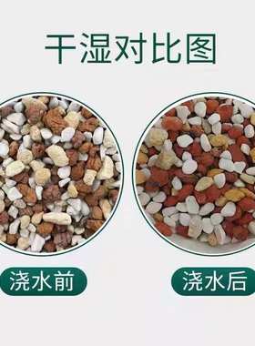 兰花专用护心土护颈土多肉全颗粒铺面石透气植金石火烧土硬珍珠岩