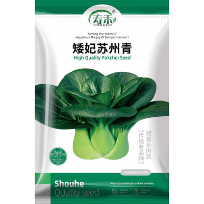 黑大头矮箕苏州青青梗菜种子种籽