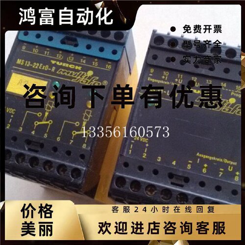 议价图尔克MS31-LIU安全栅
