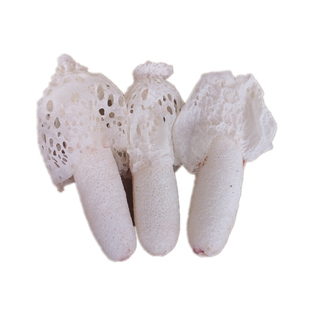 现货新鲜竹荪蛋2斤装 竹荪花菌中皇后新鲜竹荪野生菌山珍食材包邮