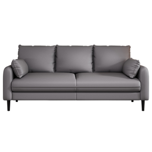 小户型科技布沙发双人小型客厅米2024新款三人位出租房用皮家用屋