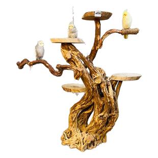 原木落地大型鹦鹉鸟站架室内鸟架树枝金刚鹦鹉爬架解闷自嗨游乐园