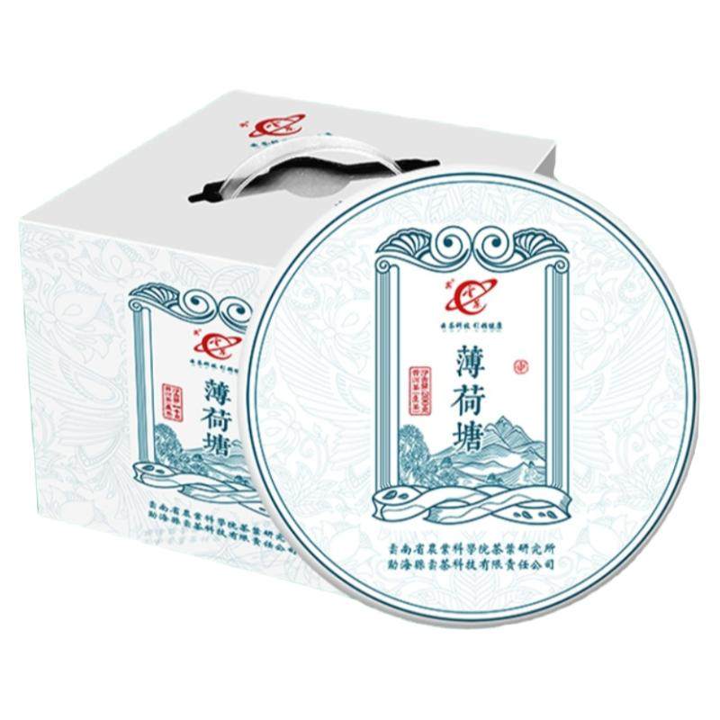 云茶科技2023云南普洱生茶薄荷塘