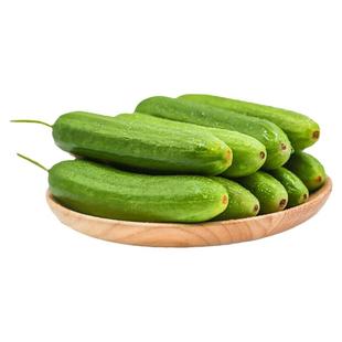 水果青瓜新鲜蔬菜沙拉脆嫩荷兰小青瓜沙拉食材沙拉蔬菜水果小黄瓜