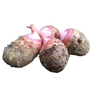 2025广西当季正宗粉糯红芽芋头新鲜家小芋仔红嘴芋艿非荔浦芋种子