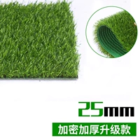 2,5 см. Шифрование и утолщенное модель модернизации (экспортная трава)