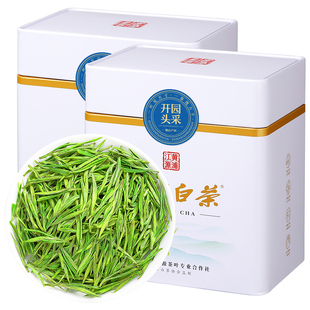 2025新茶安吉白茶特级6A开园头采嫩芽绿茶叶礼盒装250g官方旗舰店