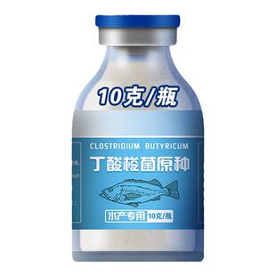 水产养殖丁酸梭菌原种EM菌鱼虾蟹塘对虾白便改善调节肠道益生菌种