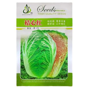 橘红心大白菜种孑春秋季桔色芯火凤凰籽特色观赏农家菜籽蔬菜种子