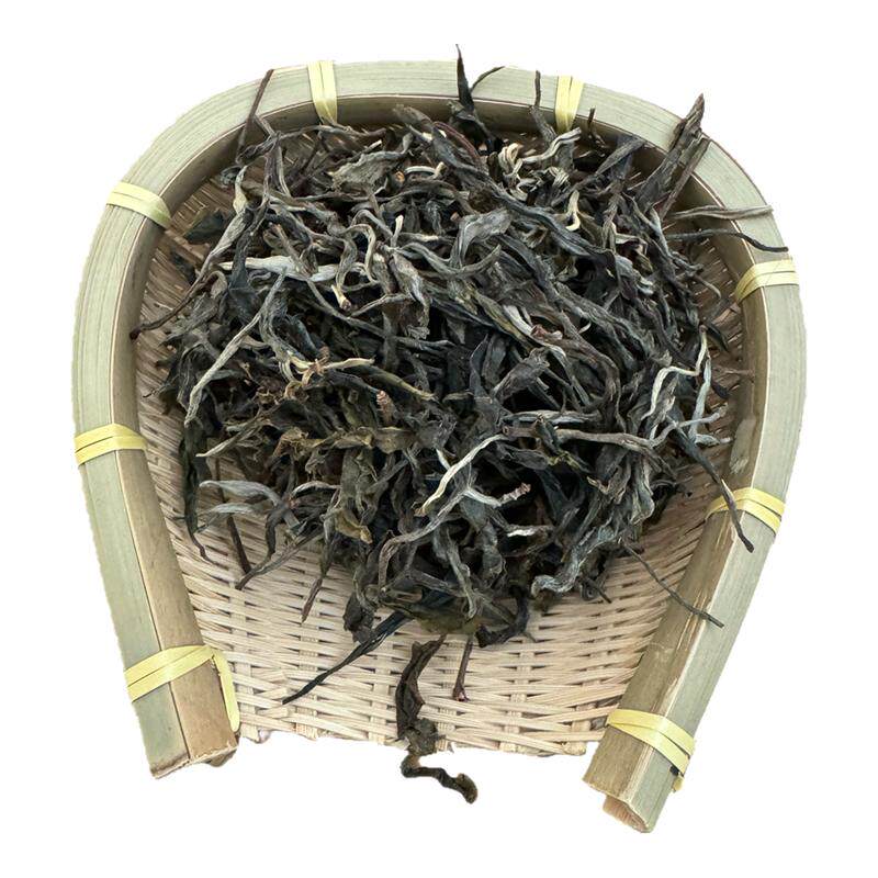 生茶梅子箐锅底塘核心区纯料单株