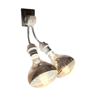 双头浴霸取暖灯座卫生间卧室办公室免打孔275W节能制热灯防水防爆