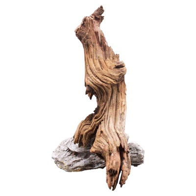 沉木树桩造景木鱼缸装饰木头看图