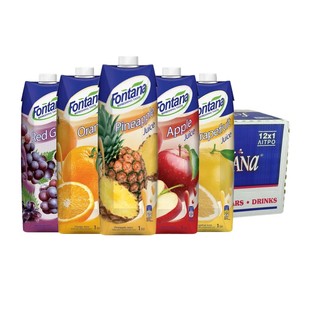 芳塔娜塞浦路斯进口果汁饮料整箱1L*12菠萝汁橙汁苹果葡萄西柚汁