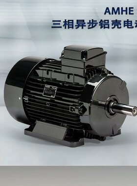 LAFERT拉菲特AMBY系列高扭矩直流刹车电动机120W至22KW立卧变频