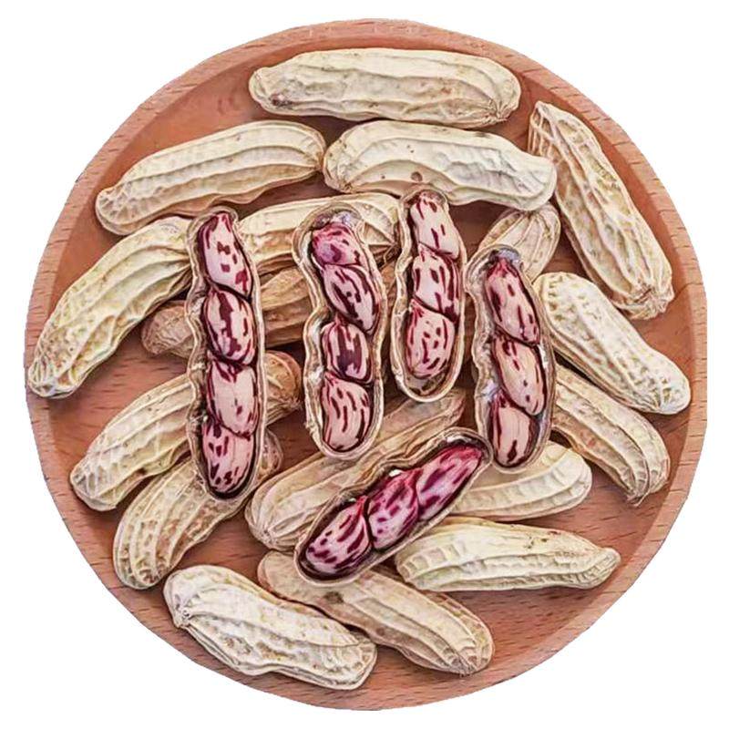 云南普洱七彩花生晒干五彩花生