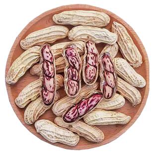 2025新货七彩花生云南普洱七彩晒干五彩花生生带壳熟花生零食