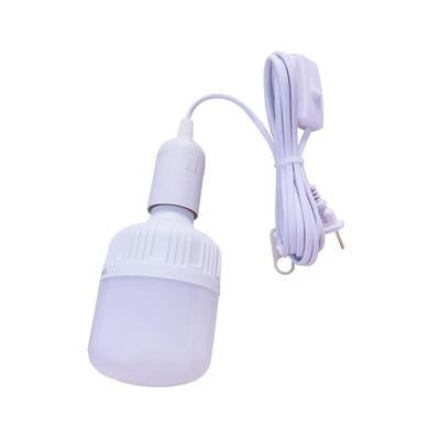 带开关插电吊线灯卧室床头灯节能