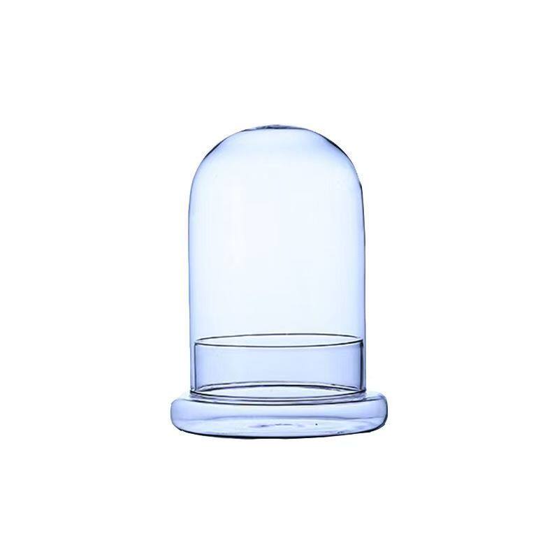 创意玻璃生态微景观空花瓶水培杯
