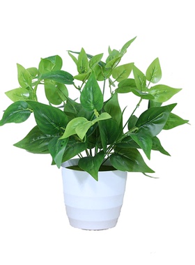 仿真绿萝植物盆栽墙角窗台栅栏花