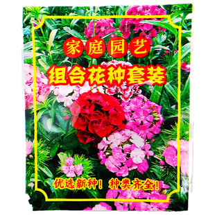 花种子大全合集四季种易活阳台盆栽花卉种籽组合套餐花籽花子包邮