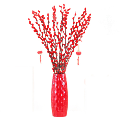 银柳干花鲜枝真花红色福桶年宵花