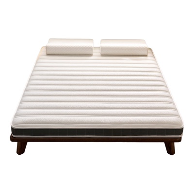 质保三年品牌同款护脊床垫硬垫