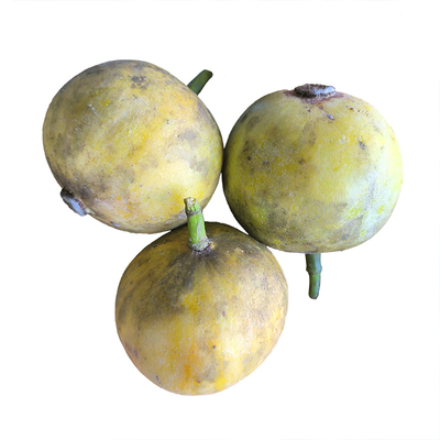 广西野生木竹子果新鲜酸桐子