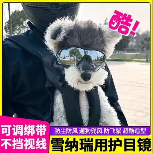 雪纳瑞专用狗狗护目镜宠物配饰小狗墨镜防风眼镜小型犬太阳镜防晒