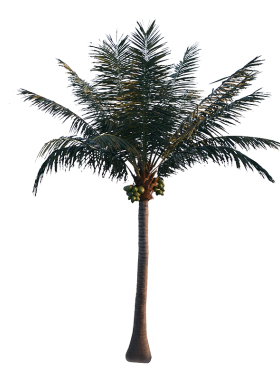 海虹景观仿真椰子树假绿植盆栽