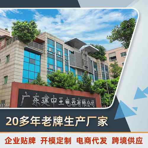 自动搅拌杯充电摇杯奶昔健身运动杯blenderbottle搖电动搖蛋白粉