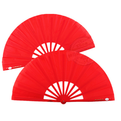 青龙牌中国武术扇表演广场舞儿童