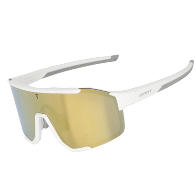 捷安特户外运动防风太阳镜