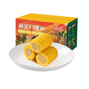 灶小美新玉米段新鲜黄糯玉米12段装真空包装内蒙古粘黏玉米棒早餐
