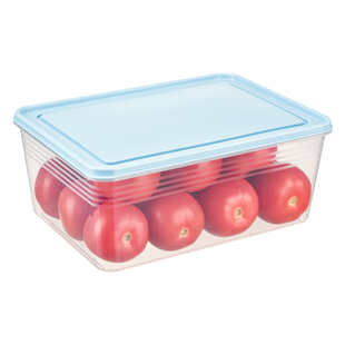 4500ml大容量冰箱收纳盒冷冻冷藏保鲜密封盒蔬菜水果肉类分装盒