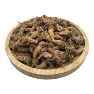 东北柞蚕绿色野生雄蚕蛾公蚕蛾活体速冻未脱毛蚕蛾顺丰包邮500g