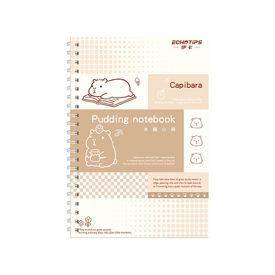 线圈本笔记本本子加厚a5新款高颜值小学生专用大学生考研初高中课堂横线本小清新白卡线圈本可爱女生日记本