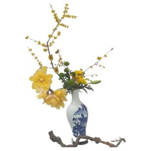 腊梅花枝鲜切花干支蜡梅花束冬季花卉水培鲜花年宵花带花苞满屋香