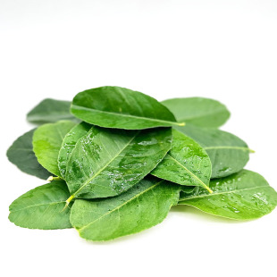 新鲜柠檬叶香水青柠檬叶子料理腌制烹饪去腥调料菜冬阴功汤料食材