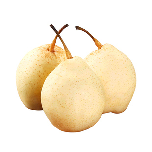 河北鸭梨新鲜水果雪梨3斤单果200g+酸甜丰富口感包邮产地直发