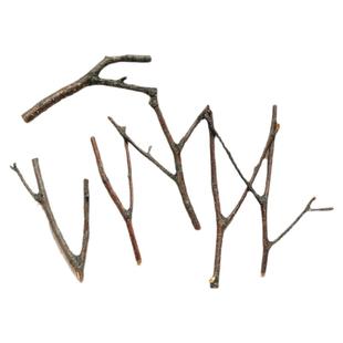 汀忆 幼儿园手工手作环创材料DIY材料小树杈木棍杈杈