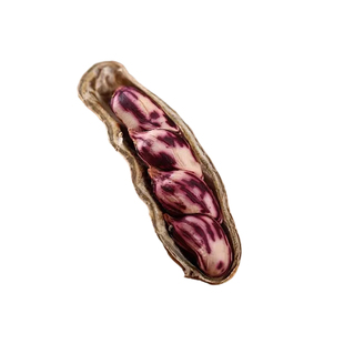 新货七彩花生云南特产新鲜采摘晾晒生熟带壳花生大颗粒清甜可口