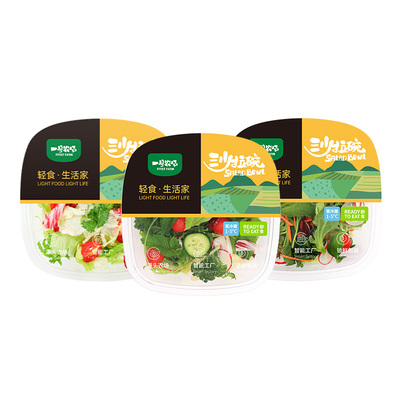 开盒即食16种蔬果夏日冰爽沙拉碗