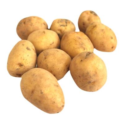 小土豆MiniPotatoes