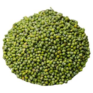 山东安丘小绿豆 农家自种土绿豆 粗粮笨绿豆 绿豆芽原材料