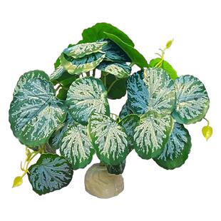 爬宠虫缸守宫蜥蜴角蛙乌龟饲养箱仿真绿植物生态水陆雨林造景躲避