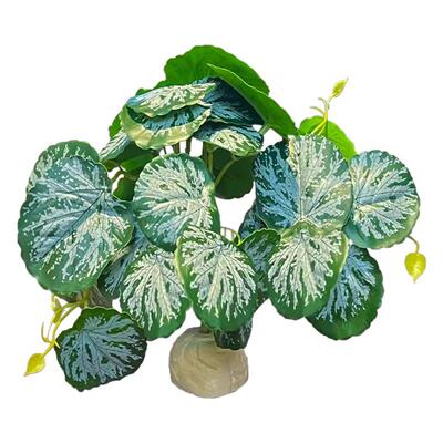 守宫蜥蜴宠物箱高仿装饰植物造景